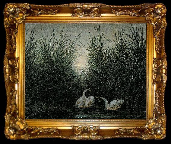 framed  Caspar David Friedrich Schwane im Schilf, ta009-2